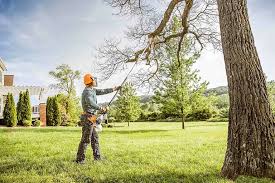 Best Lot and Land Clearing  in North York, PA