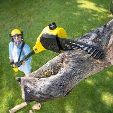 Best Lawn Watering Services  in North York, PA