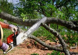 Best Aeration Services  in North York, PA