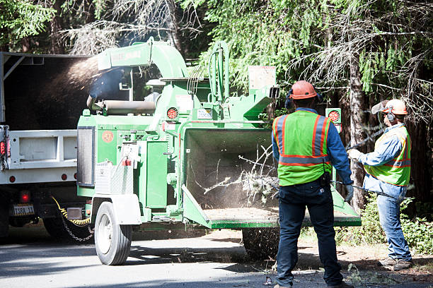 Best Weed Control  in North York, PA